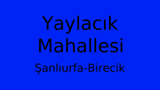 Yaylacık Mahallesi Thumbnail