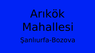 Arıkök Mahallesi Thumbnail