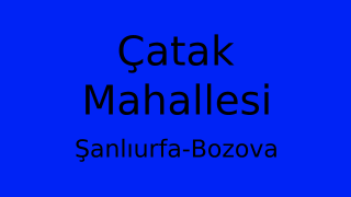 Çatak Mahallesi Thumbnail