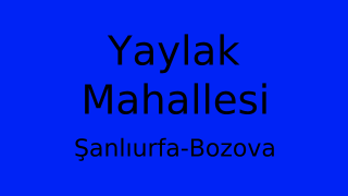 Yaylak Mahallesi Thumbnail
