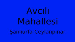 Avcılı Mahallesi Thumbnail