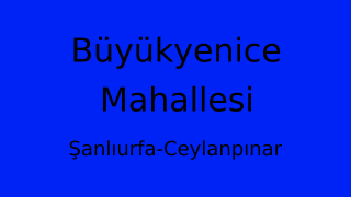 Büyükyenice Mahallesi Thumbnail