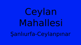 Ceylan Mahallesi Thumbnail