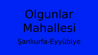 Olgunlar Mahallesi Thumbnail