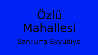 Özlü Mahallesi Thumbnail
