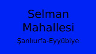 Selman Mahallesi Thumbnail