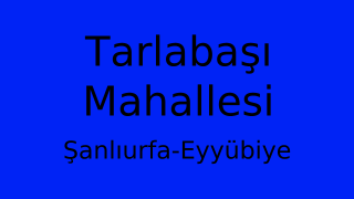 Tarlabaşı Mahallesi Thumbnail