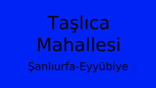 Taşlıca Mahallesi Thumbnail
