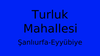 Turluk Mahallesi Thumbnail