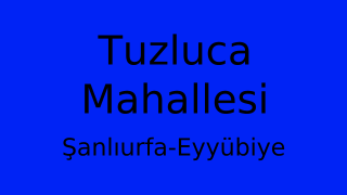 Tuzluca Mahallesi Thumbnail