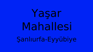 Yaşar Mahallesi Thumbnail