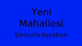 Yeni Mahallesi Thumbnail