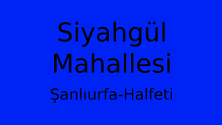 Siyahgül Mahallesi Thumbnail