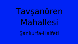 Tavşanören Mahallesi Thumbnail