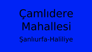 Çamlıdere Mahallesi Thumbnail