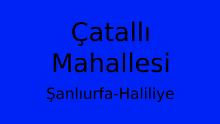 Çatallı Mahallesi Thumbnail