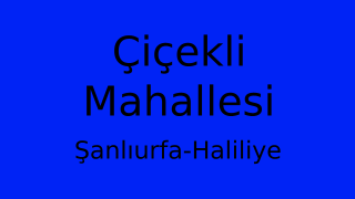 Çiçekli Mahallesi Thumbnail