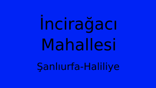 İncirağacı Mahallesi Thumbnail