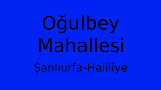 Oğulbey Mahallesi Thumbnail