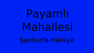 Payamlı Mahallesi Thumbnail