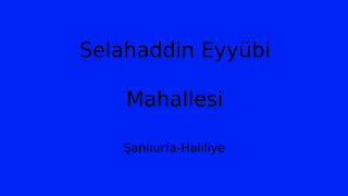 Selahaddin Eyyübi Mahallesi Thumbnail