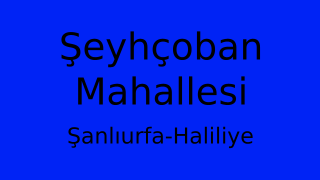 Şeyhçoban Mahallesi Thumbnail