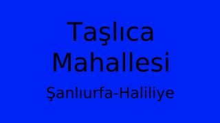 Taşlıca Mahallesi Thumbnail