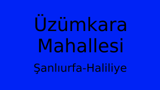 Üzümkara Mahallesi Thumbnail