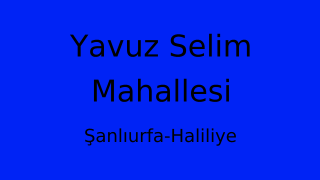 Yavuz Selim Mahallesi Thumbnail