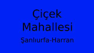 Çiçek Mahallesi Thumbnail