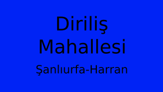 Diriliş Mahallesi Thumbnail