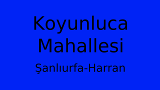 Koyunluca Mahallesi Thumbnail
