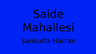 Saide Mahallesi Thumbnail