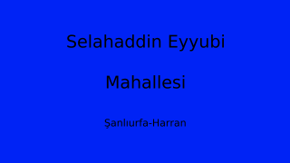 Selahaddin Eyyubi Mahallesi Thumbnail