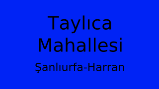 Taylıca Mahallesi Thumbnail