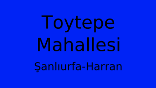 Toytepe Mahallesi Thumbnail