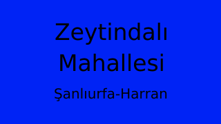 Zeytindalı Mahallesi Thumbnail