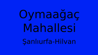 Oymaağaç Mahallesi Thumbnail