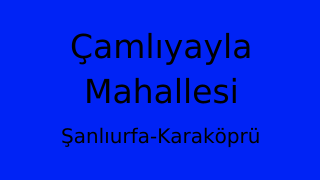 Çamlıyayla Mahallesi Thumbnail