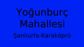 Yoğunburç Mahallesi Thumbnail