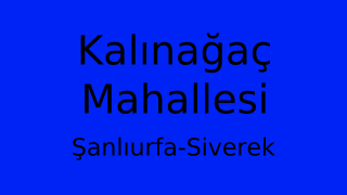 Kalınağaç Mahallesi Thumbnail