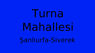 Turna Mahallesi Thumbnail