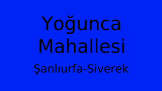 Yoğunca Mahallesi Thumbnail