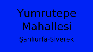 Yumrutepe Mahallesi Thumbnail