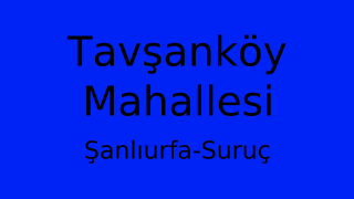 Tavşanköy Mahallesi Thumbnail