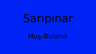 Sarıpınar, Bulanık, Muş Thumbnail
