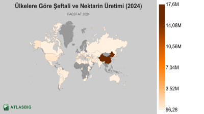 Ülkelere Göre Şeftali ve Nektarin Üretimi (2024) Thumbnail