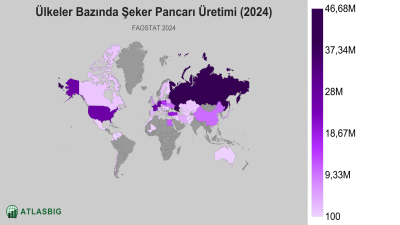 Ülkeler Bazında Şeker Pancarı Üretimi 2026 Thumbnail