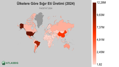 Ülkelere Göre Sığır Eti Üretimi 2026 Thumbnail