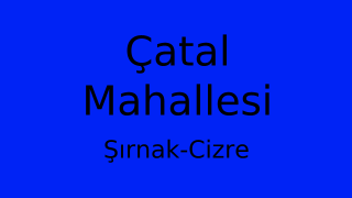 Çatal Mahallesi Thumbnail